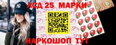 гидра Гай
