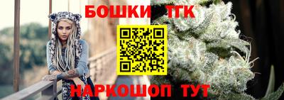 мдпв Гагарин