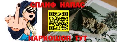 мдпв Гагарин