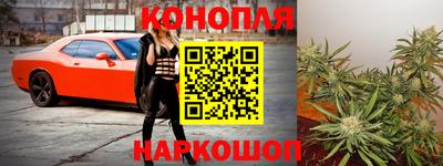 мдпв Гагарин
