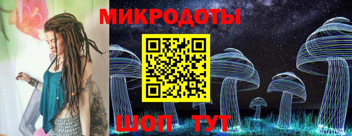 Галлюциногенные грибы Psilocybine cubensis Дзержинский