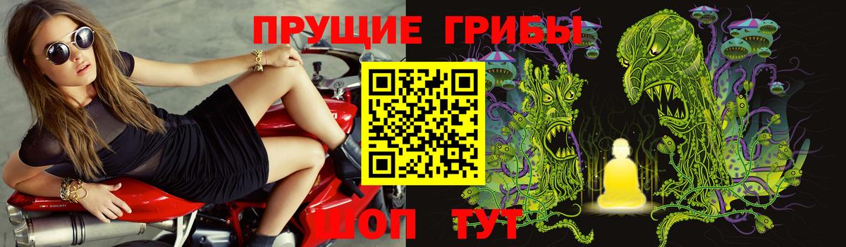 Псилоцибиновые грибы GOLDEN TEACHER  Вход с VPN  Дзержинский 
